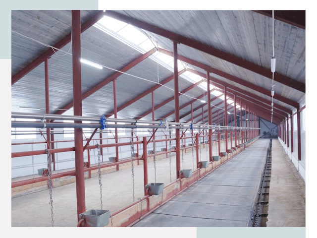 Строительство коровников в Касимах от 652 руб.