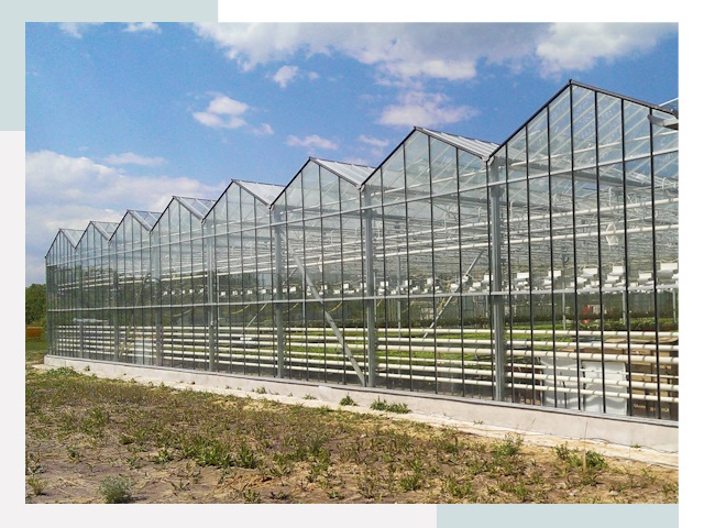 Строительство теплиц в Касимов от 652 руб. за м²