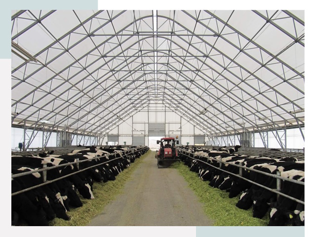 Тентовые коровники в Касимах от 652 руб. - Надежно и доступно