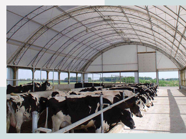 Тентовые коровники в Касимах